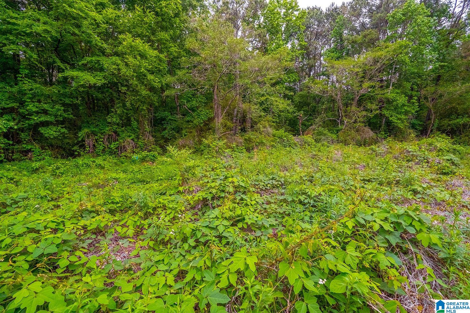 0 Spunky Hollow Road, Unit 1 Trafford, AL 35172 - Photo 18 of 18