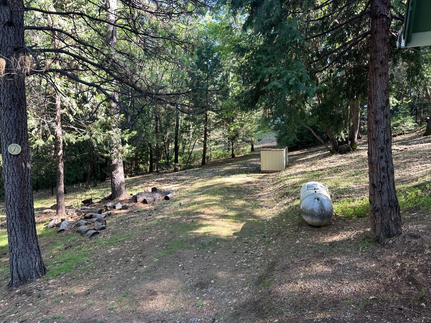 5570 5 Spot Road Placerville, CA 95667 - Photo 12 of 38 a view of a yard with furniture
