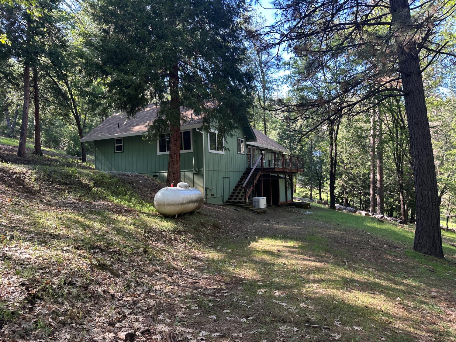 5570 5 Spot Road Placerville, CA 95667 - Photo 5 of 38 a view of a park with large trees