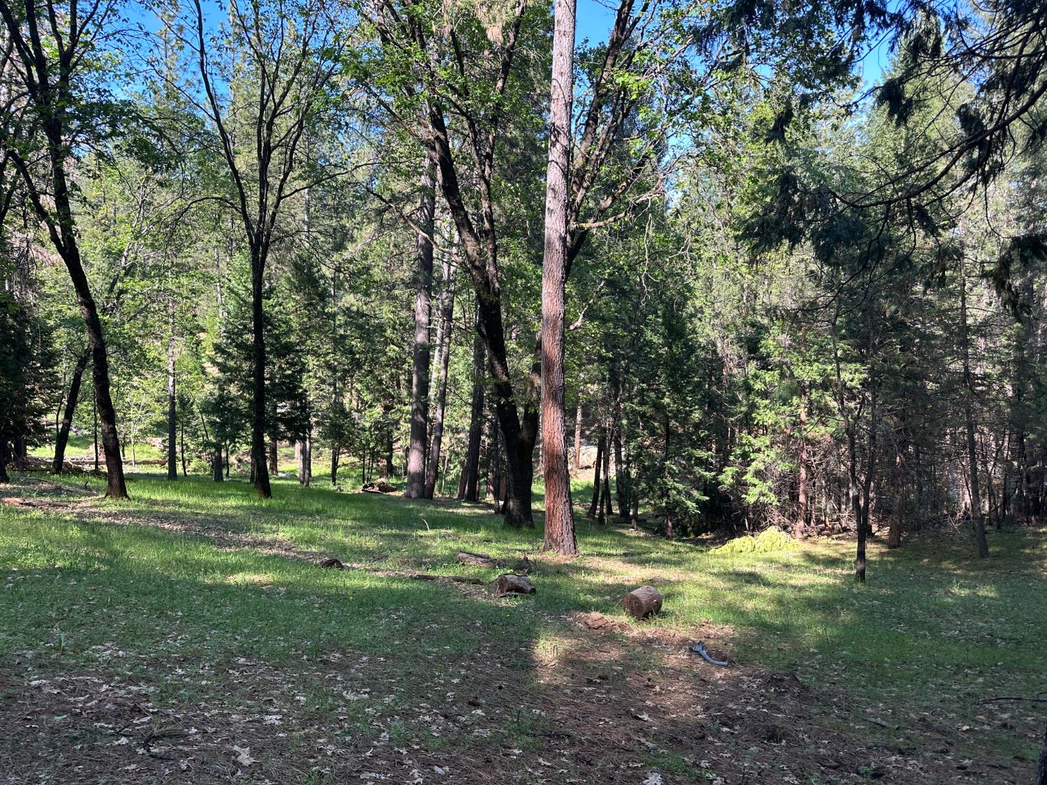 5570 5 Spot Road Placerville, CA 95667 - Photo 6 of 38 a view of a park with large trees