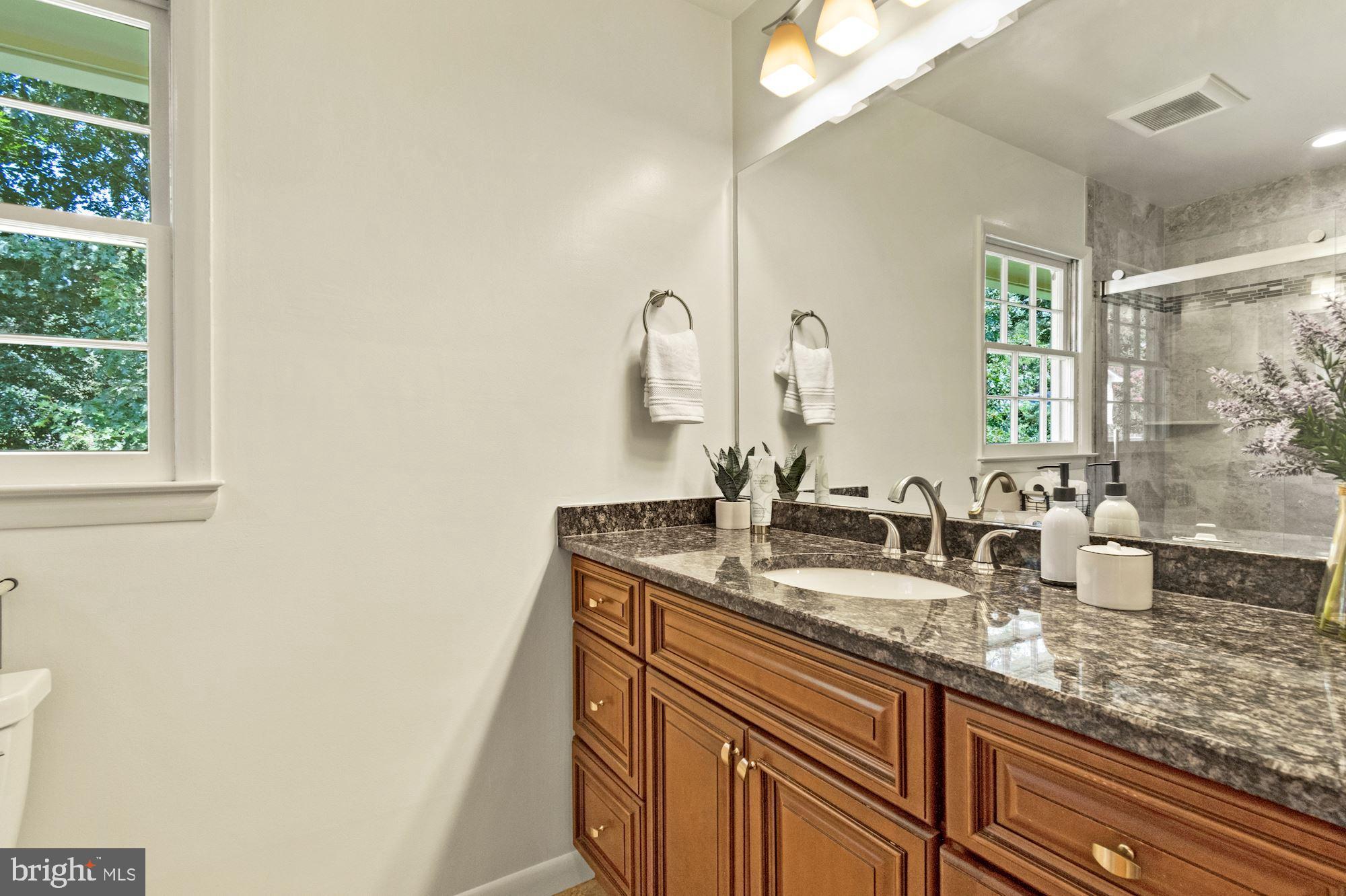 1010 Cannon Road Silver Spring, MD 20904 - Photo 25 of 31 Large hall bathroom with granite countertops
