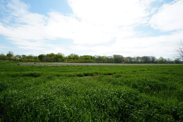 $300,000 | 201 Jackson Street, Hanover, IL 61041