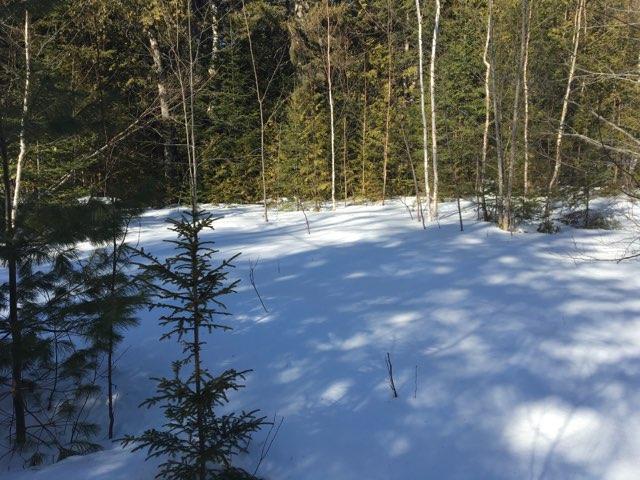 383 Pug Lakes Road Lakeville, ME 04487 - Photo 7 of 7 Photo Feb 12, 8 08 38 AM
