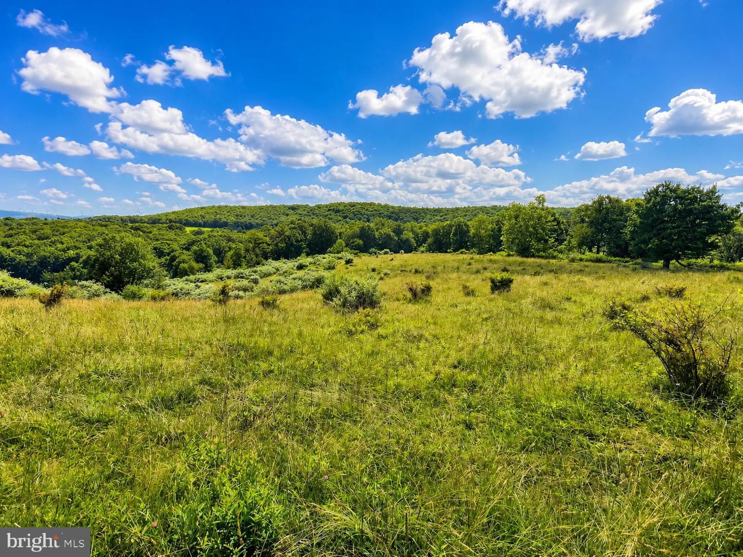 97-acres Lot C 97-acres Road Oakland, MD 21550 - Photo 4 of 21