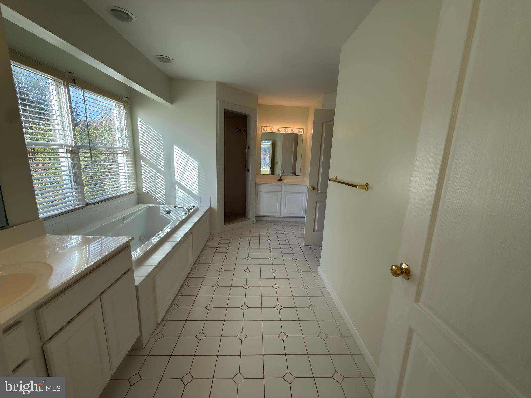 839 Frank Road West Chester, PA 19380 - Photo 18 of 30 a bathroom with a sink a mirror and a bathtub