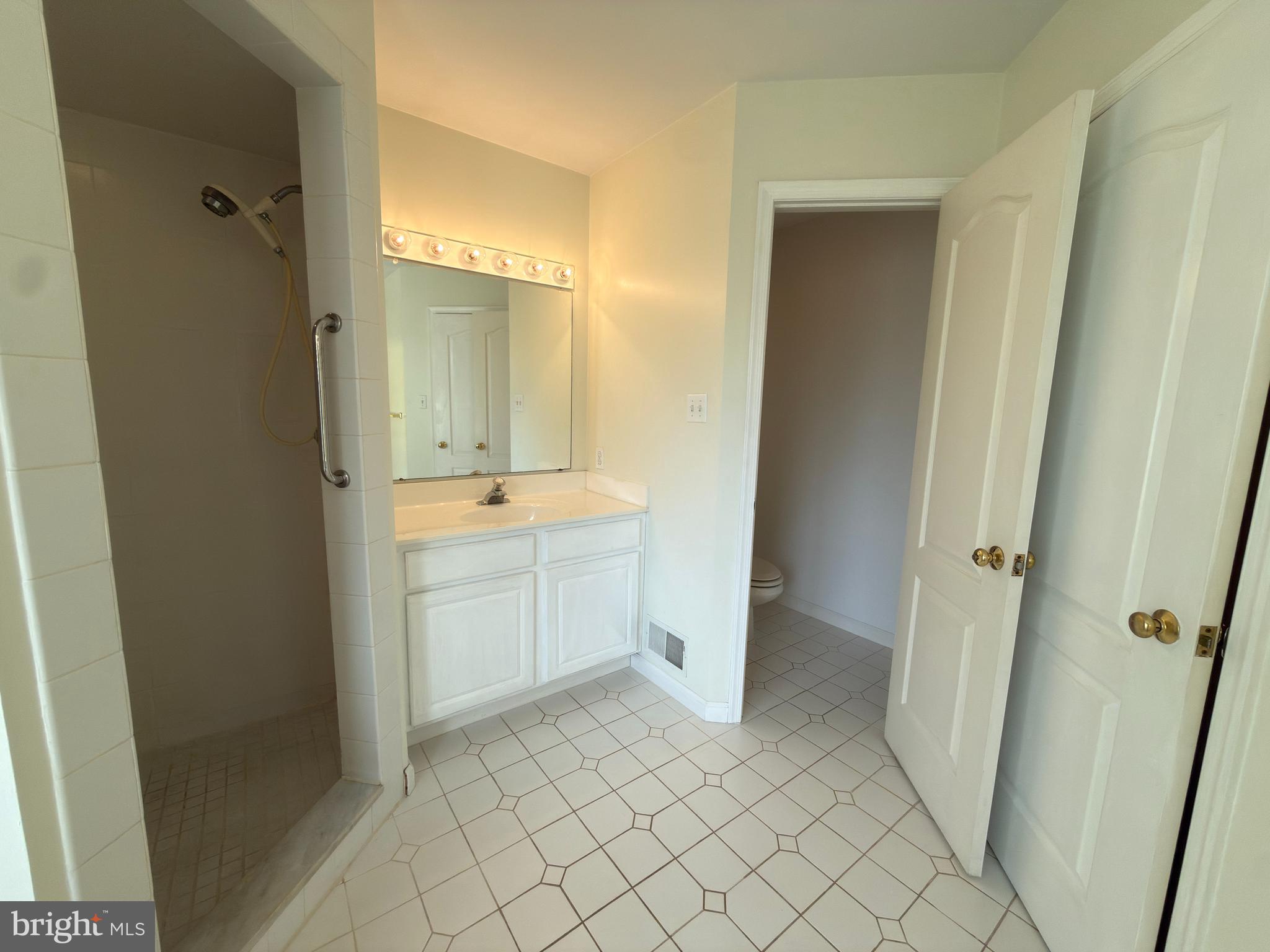 839 Frank Road West Chester, PA 19380 - Photo 19 of 30 a bathroom with a sink a toilet and a mirror