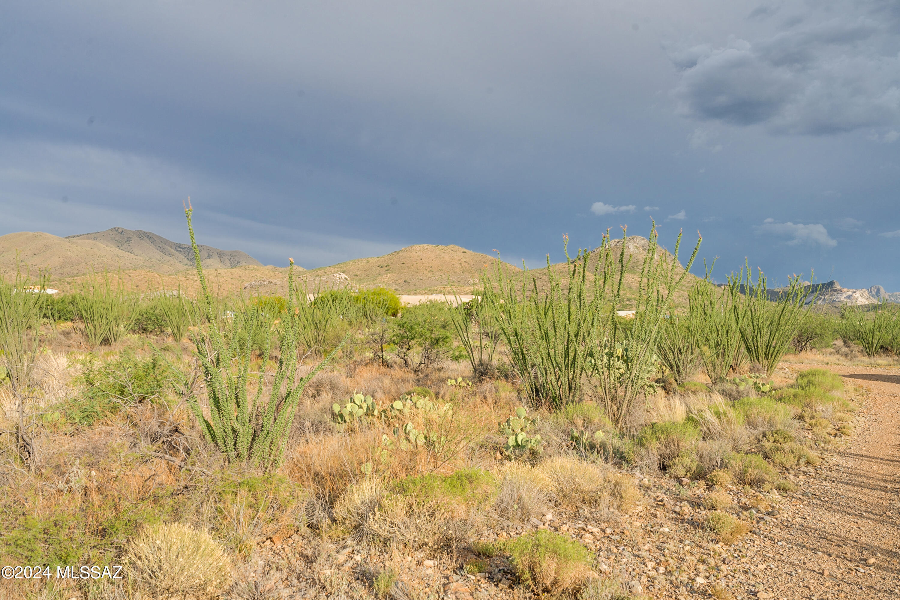 9783 East Ocotillo Rim Trail Vail, AZ 85641 - Photo 20 of 24 Gallery Image 20