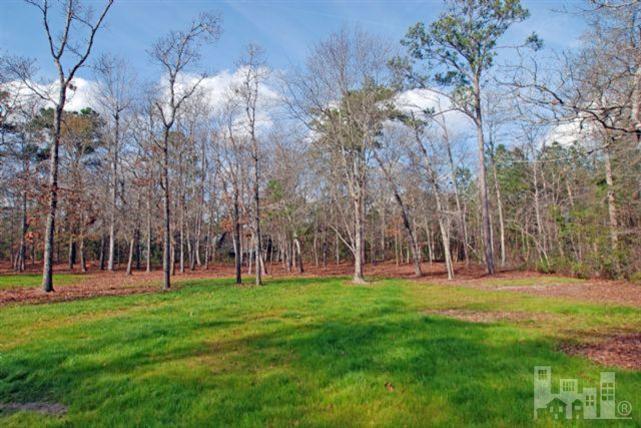 1767 Sloop Point Loop Road Hampstead, NC 28443 - Photo 13 of 19 Additional Photo