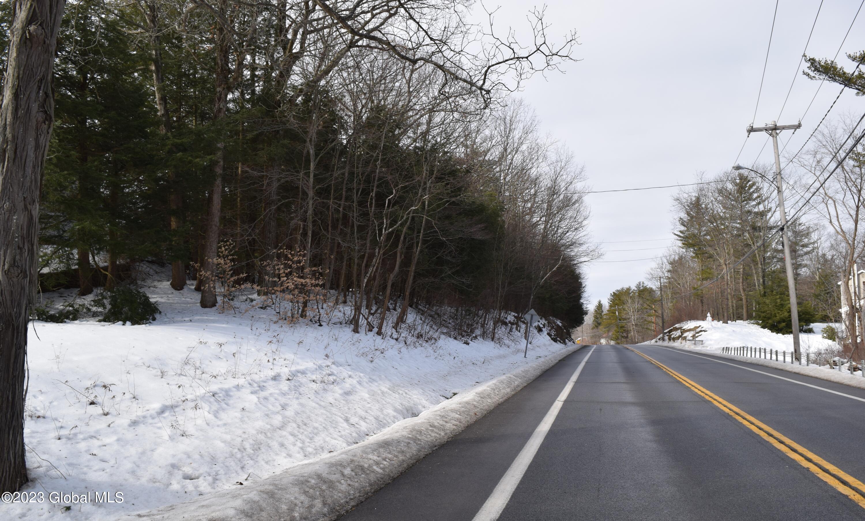 4605 Mariaville Road Rotterdam, NY 12306 - Photo 50 of 51 44