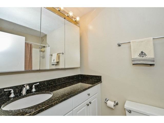 10 East Ontario Street, Unit 1109 Chicago, IL 60611 - Photo 6 of 11 a bathroom with a granite countertop sink and a mirror