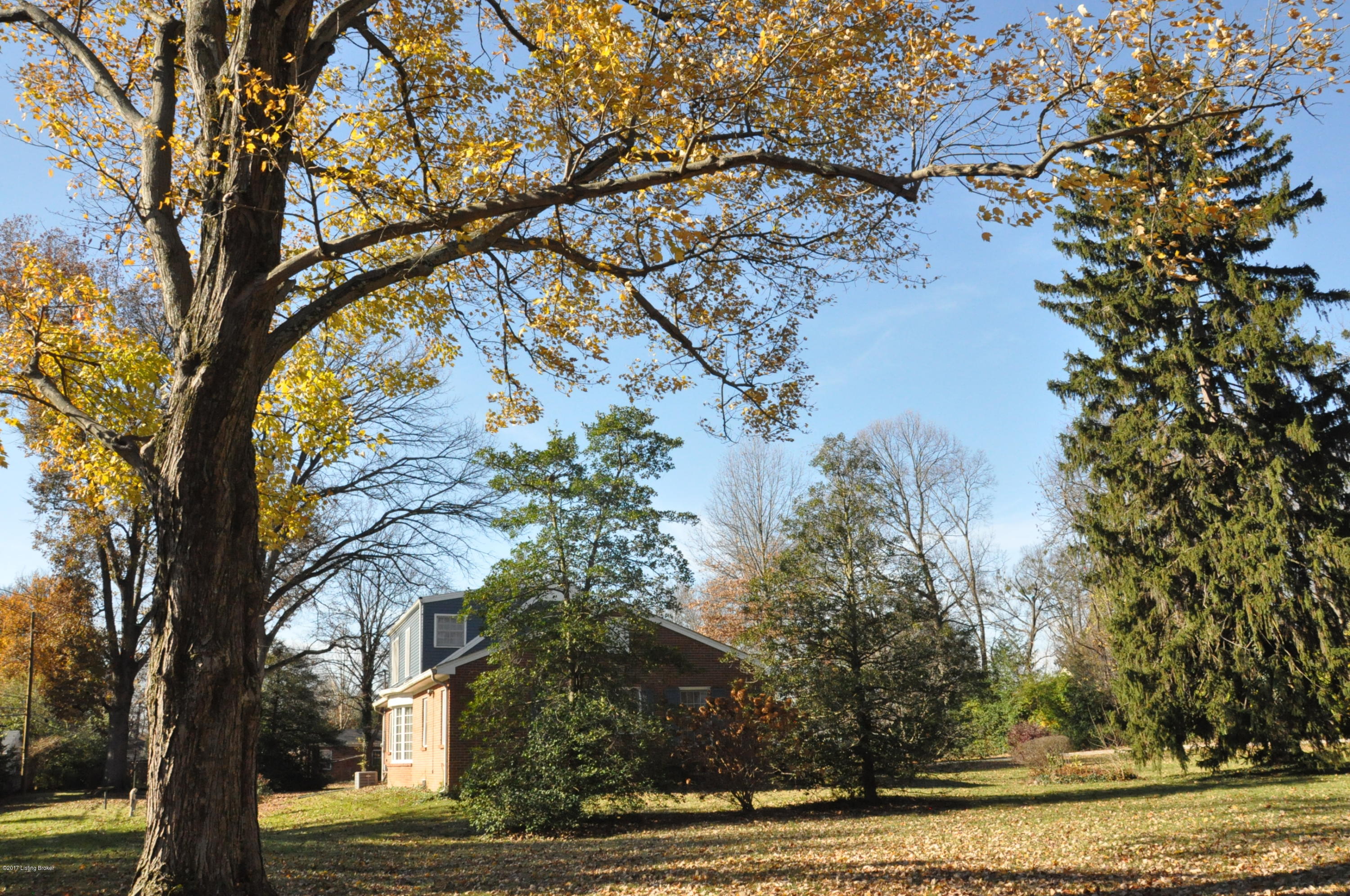 2640 Dundee Road Louisville, KY 40205 - Photo 44 of 46 DSC_0072