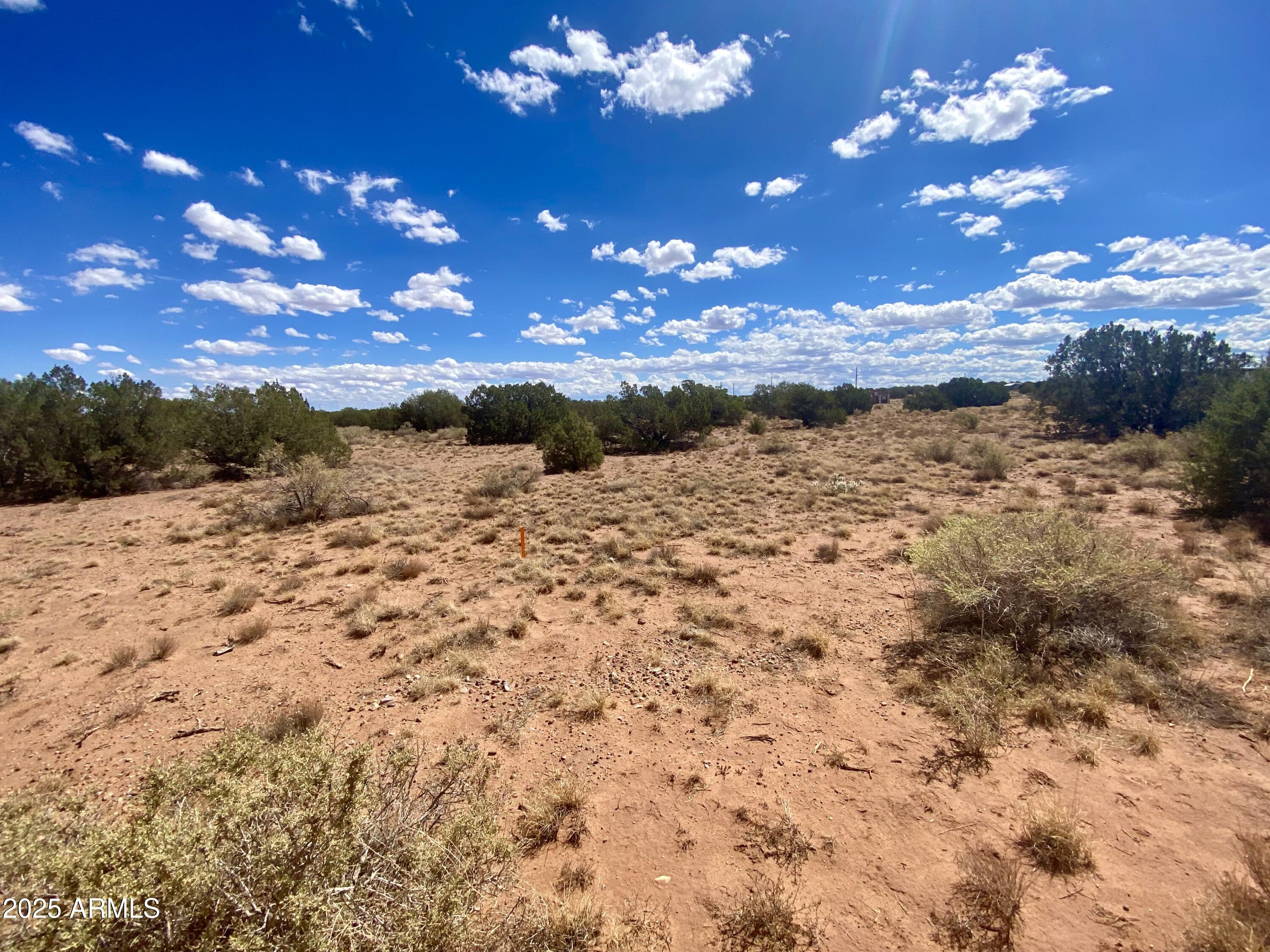 4577 East Pinto Road, Unit 68 Snowflake, AZ 85937 - Photo 6 of 16 Gallery Image 6