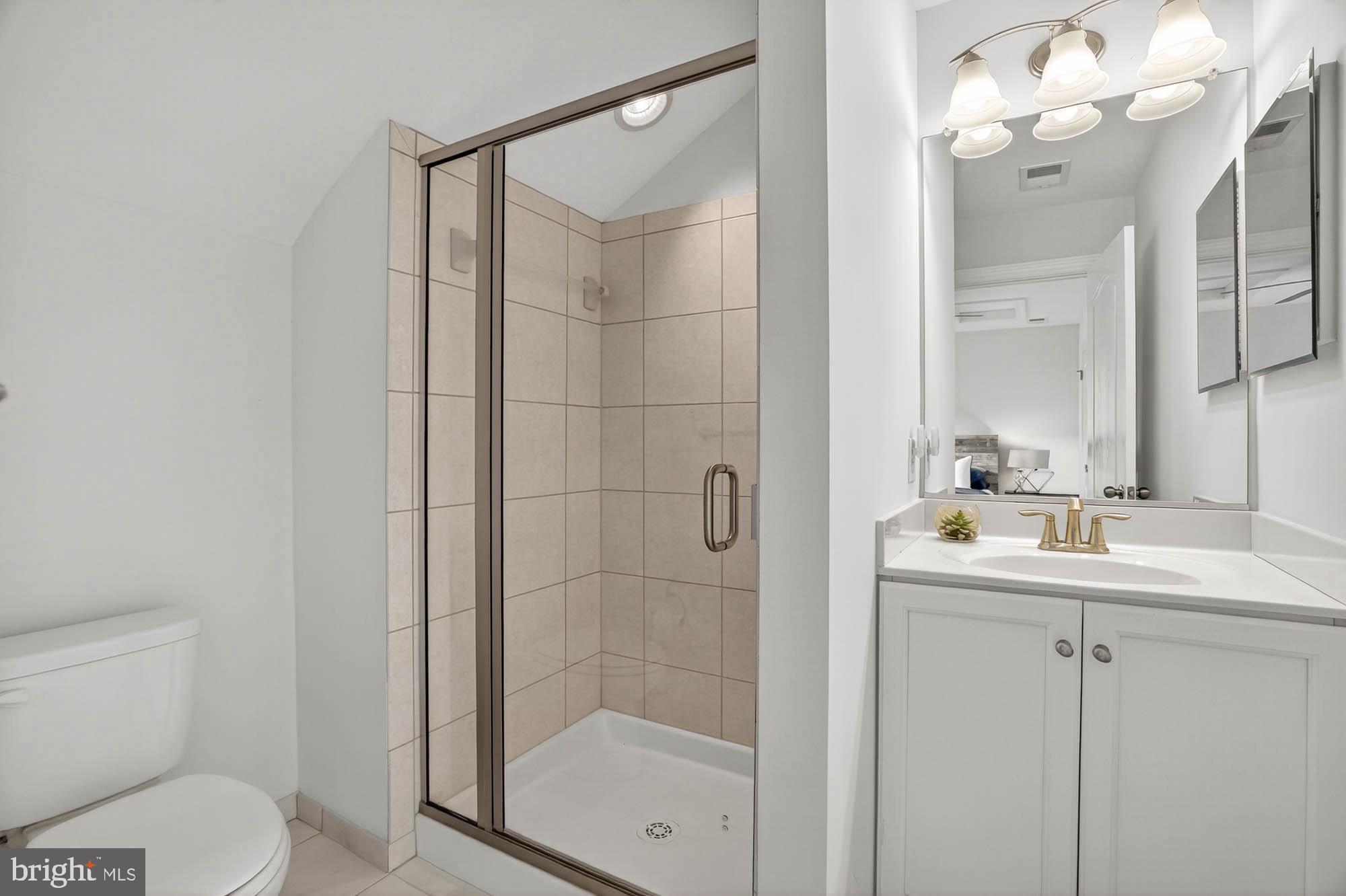 606 James Walker Place Annapolis, MD 21401 - Photo 41 of 52 a bathroom with a shower a sink a toilet and a mirror