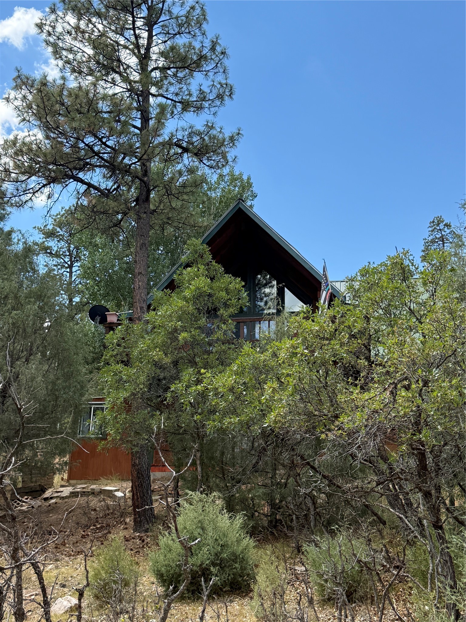 27 Rim Drive Los Ojos, NM 87551 - Photo 28 of 42