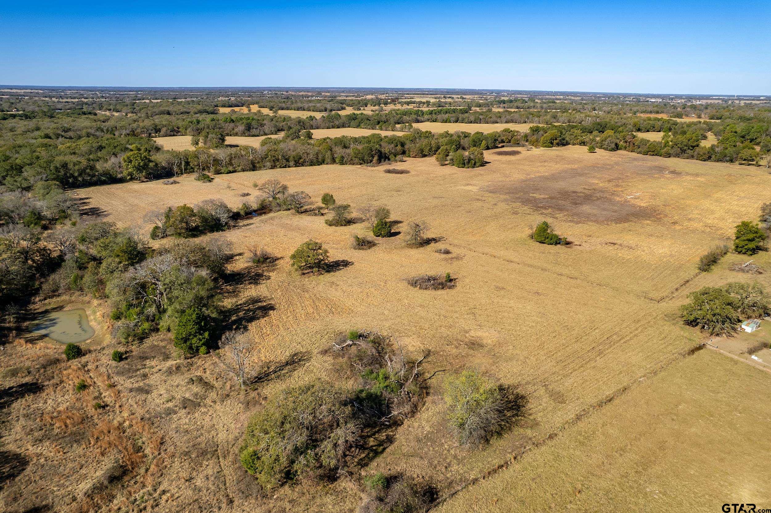 1504 Wills Point Wills Point, TX 75169 - Photo 9 of 17