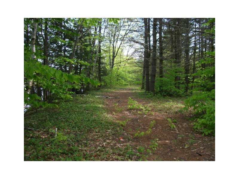 9 Mt Will Farm Road Bethel, ME 04217 - Photo 2 of 5 Land.