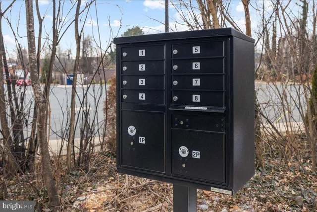 a view of a wooden door and a wall