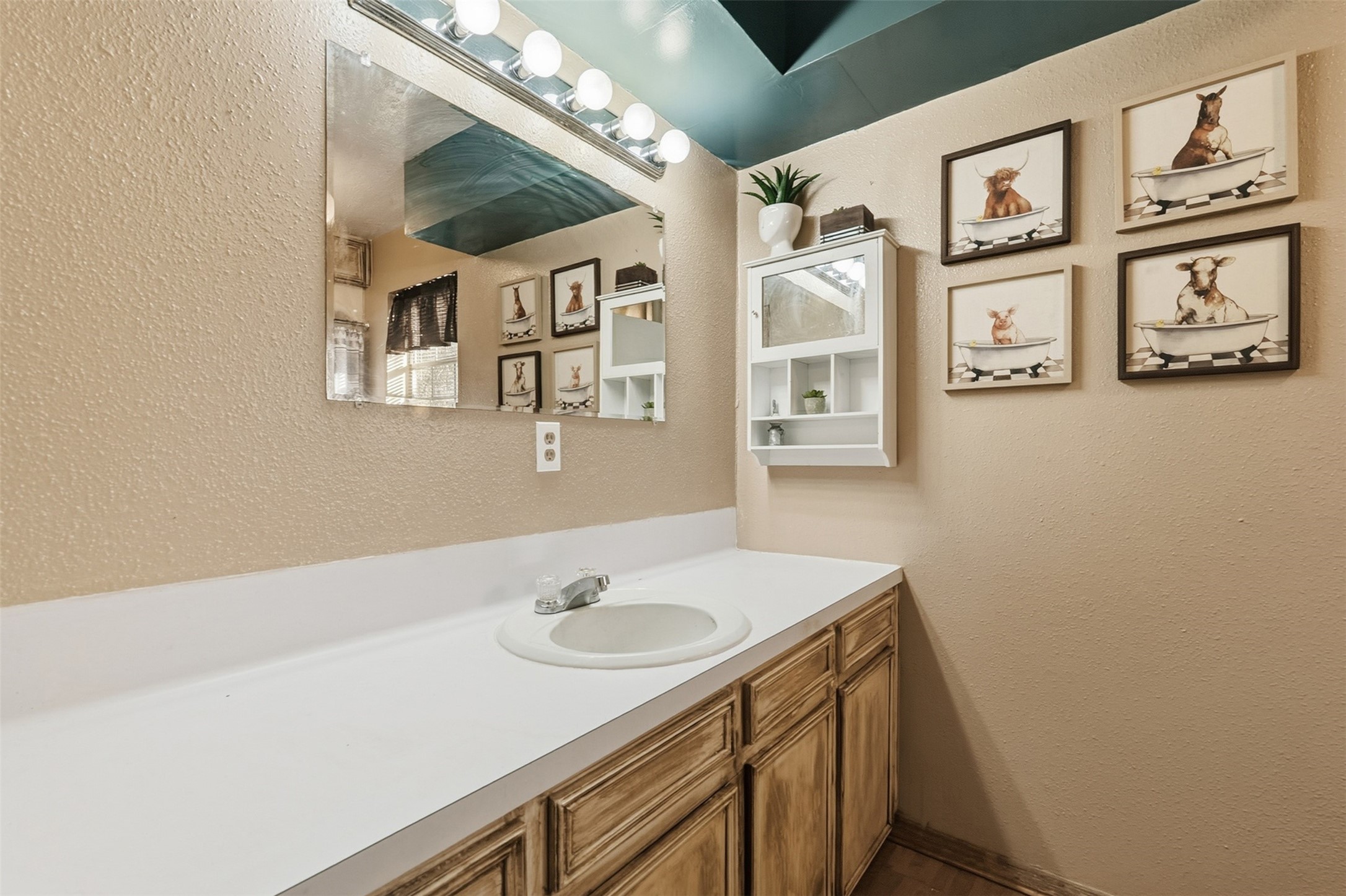 4027 Spring Branch Road Montgomery, TX 77316 - Photo 18 of 31 a bathroom with a sink and a mirror