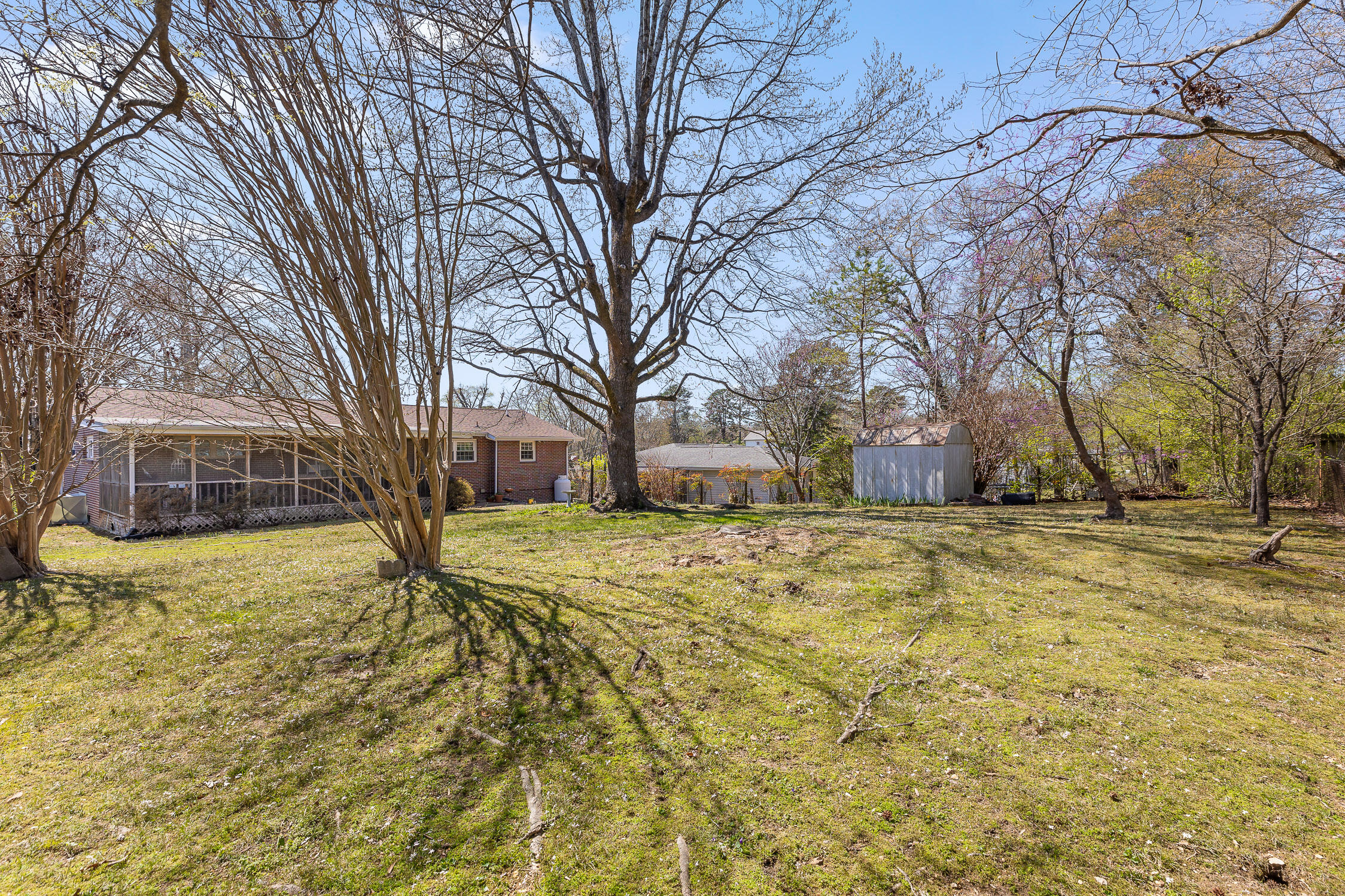 3629 Koons Road Chattanooga, TN 37412 - Photo 24 of 28 Back Yard