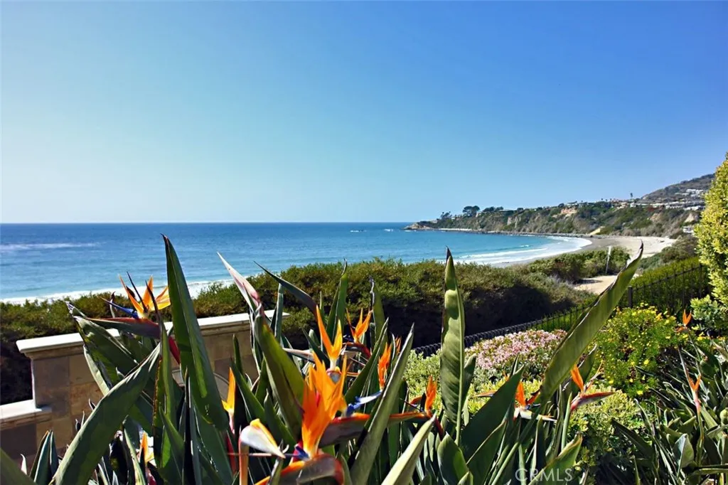 21 Ritz Cove Drive Dana Point, CA 92629 - Photo 56 of 72