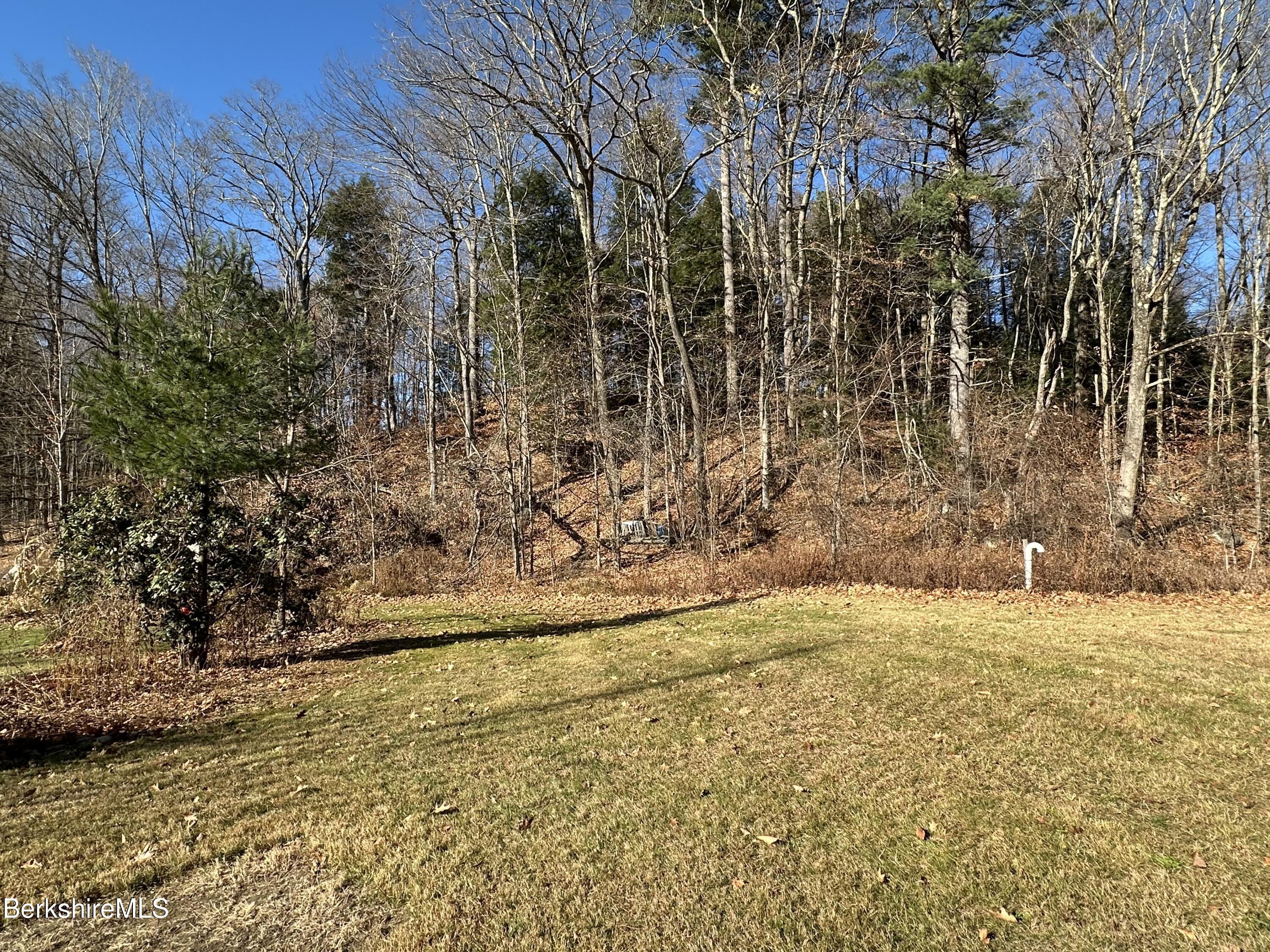 471 Middle Road Clarksburg, MA 01247 - Photo 4 of 9 a view of yard with trees