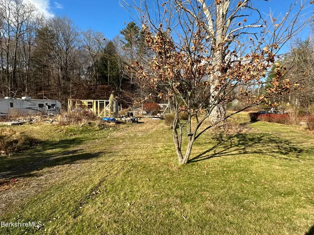 a view of a yard with a tree