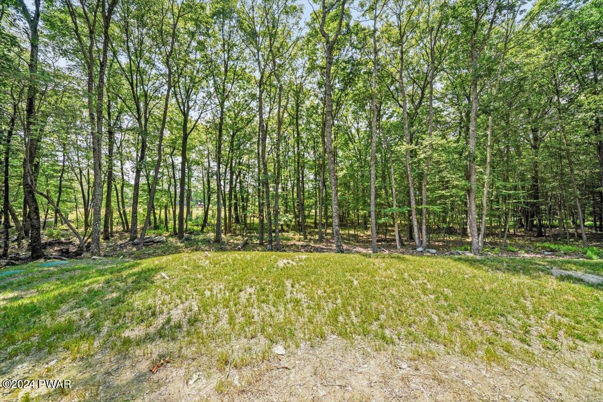 133 Butternut Road Milford, PA 18337 - Photo 26 of 34 a backyard of a house with large trees