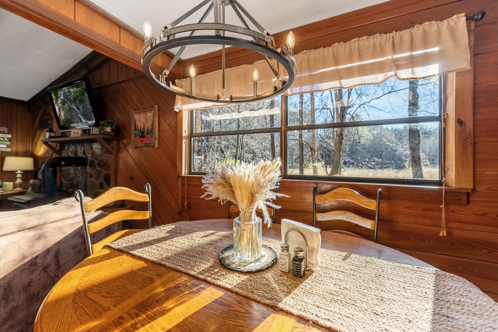 251 Sunny Brook Road Blue Ridge, GA 30513 - Photo 29 of 68 Gallery Image 29
