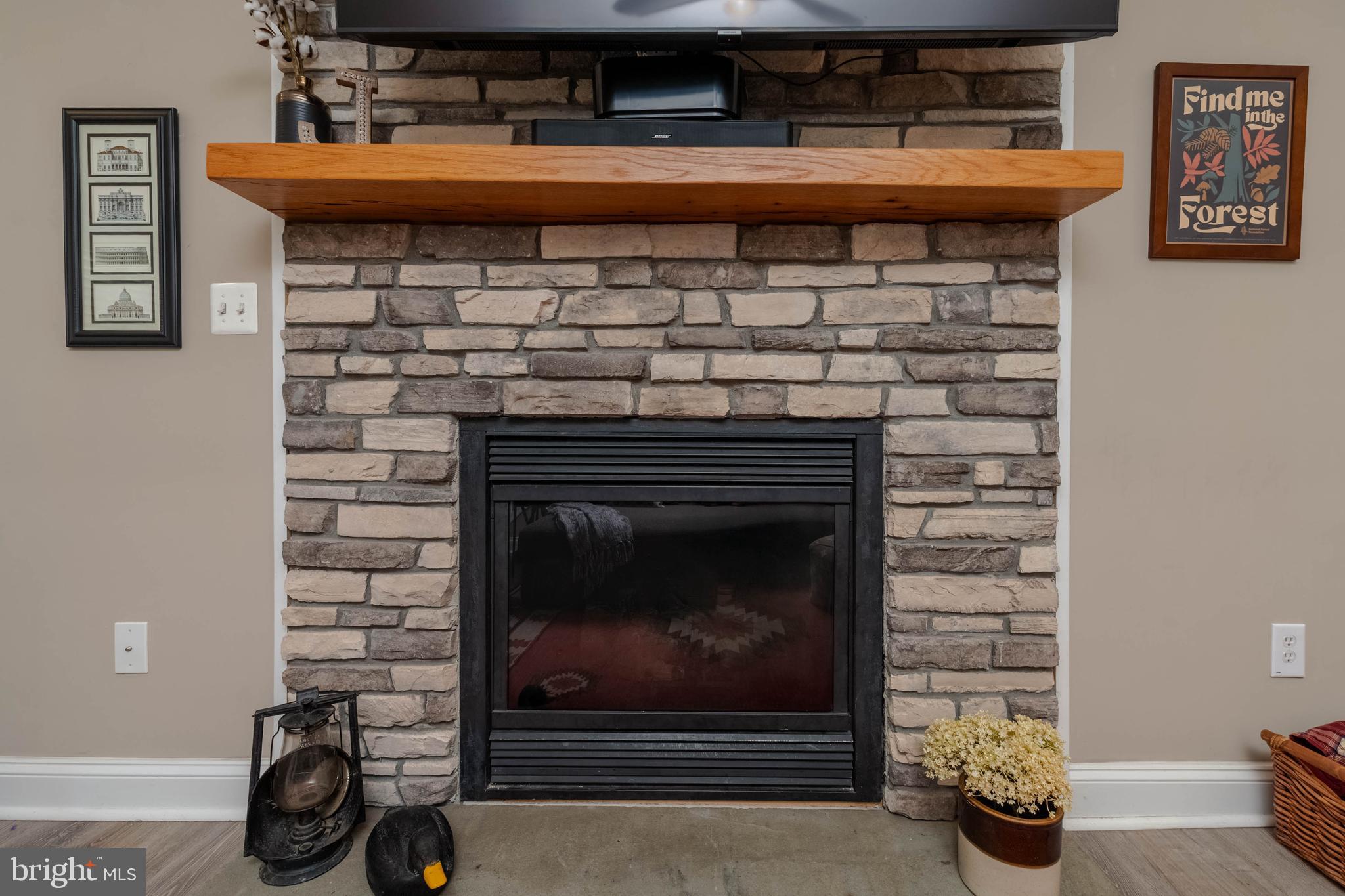2828 Harford Road Fallston, MD 21047 - Photo 11 of 55 Stack Stone Gas Fireplace