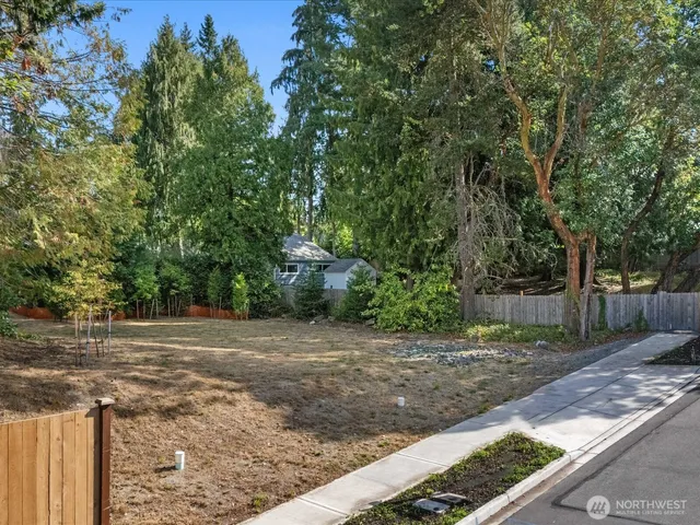 a view of a yard with plants and trees