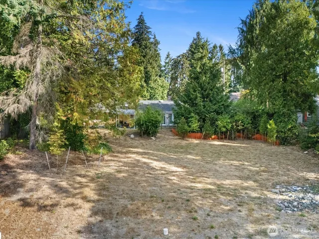 a view of a field with plants and trees