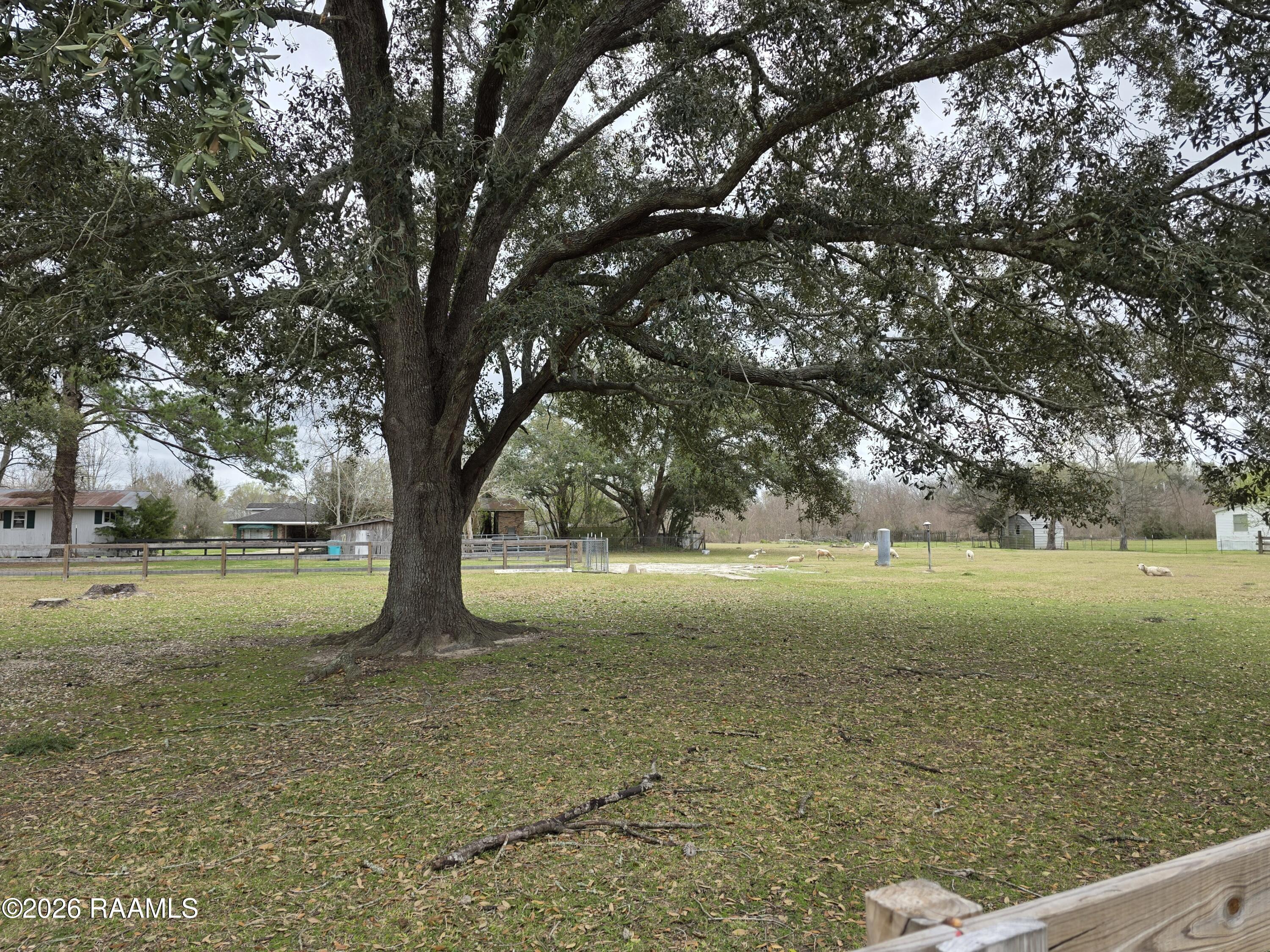 7338 Highway 190 Church Point, LA 70525 - Photo 6 of 11 20260225_111416