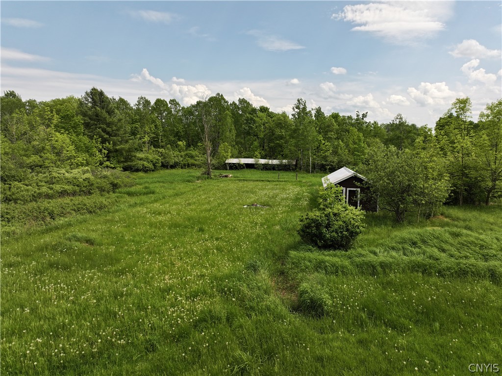 230 Old Canton Road De Kalb, NY 13630 - Photo 6 of 8