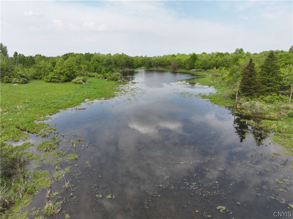 230 Old Canton Road De Kalb, NY 13630 - Photo 8 of 8