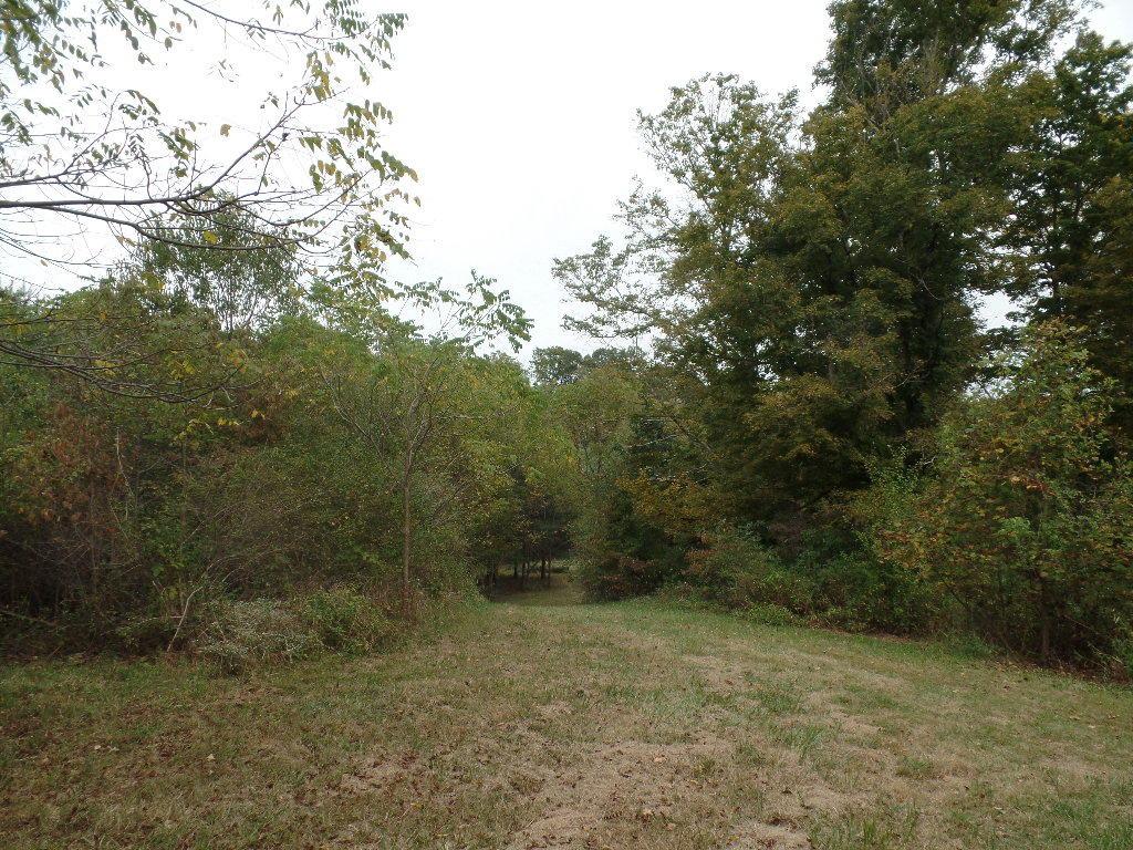 9325 Macedonia Road Hopewell, OH 43746 - Photo 18 of 23