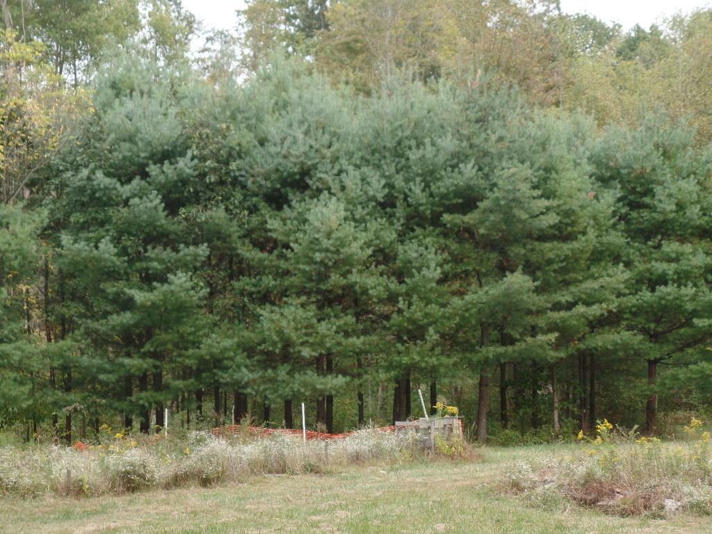 9325 Macedonia Road Hopewell, OH 43746 - Photo 19 of 23
