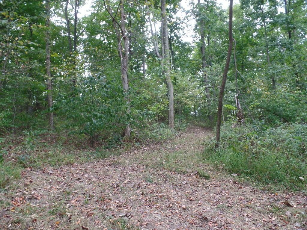 9325 Macedonia Road Hopewell, OH 43746 - Photo 20 of 23