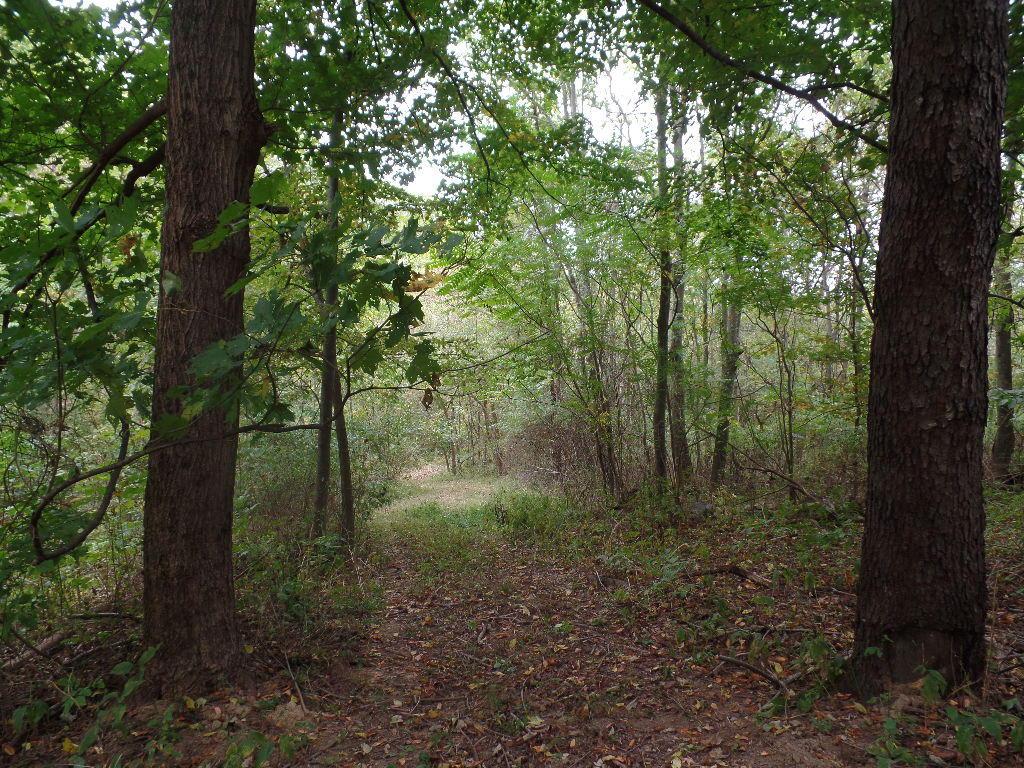9325 Macedonia Road Hopewell, OH 43746 - Photo 2 of 23
