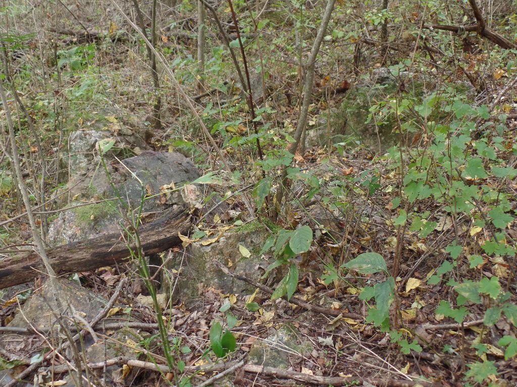 9325 Macedonia Road Hopewell, OH 43746 - Photo 21 of 23