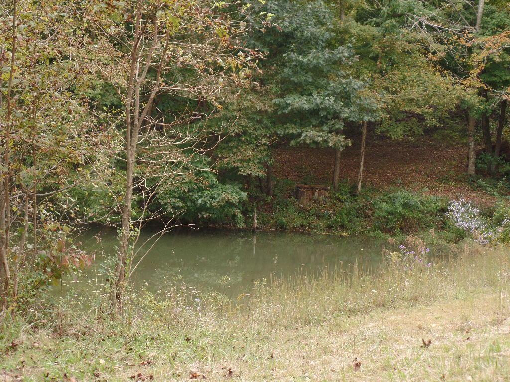 9325 Macedonia Road Hopewell, OH 43746 - Photo 3 of 23