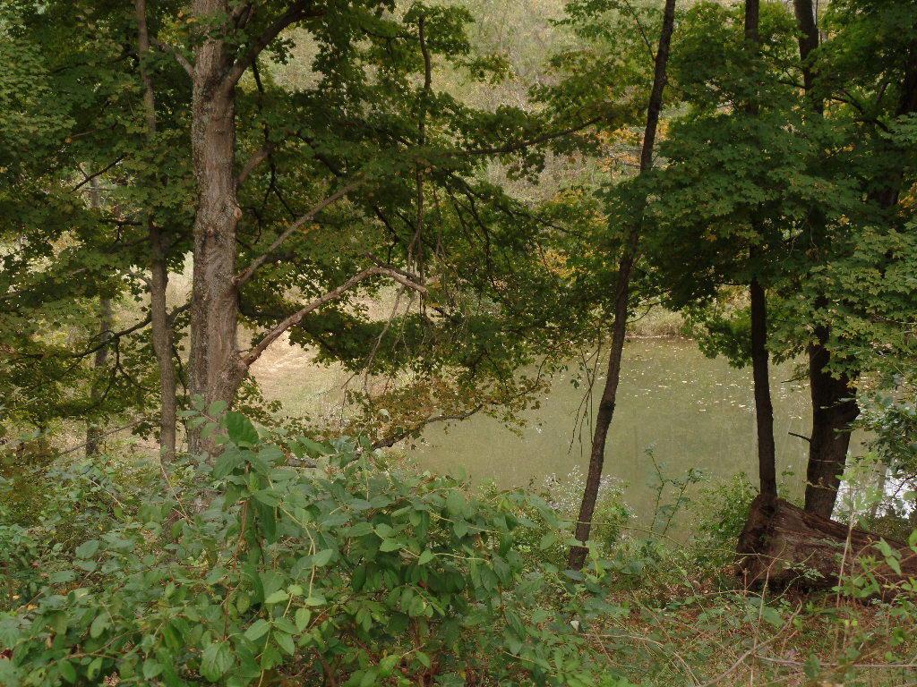 9325 Macedonia Road Hopewell, OH 43746 - Photo 4 of 23