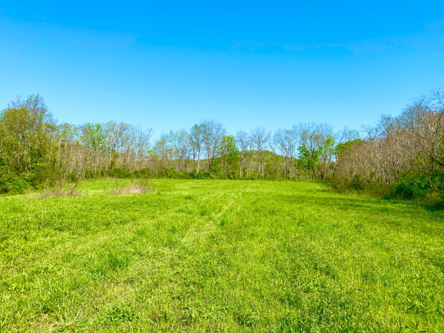 999 Dripping Springs Road Glasgow, KY 42141 - Photo 4 of 8 Photo 4