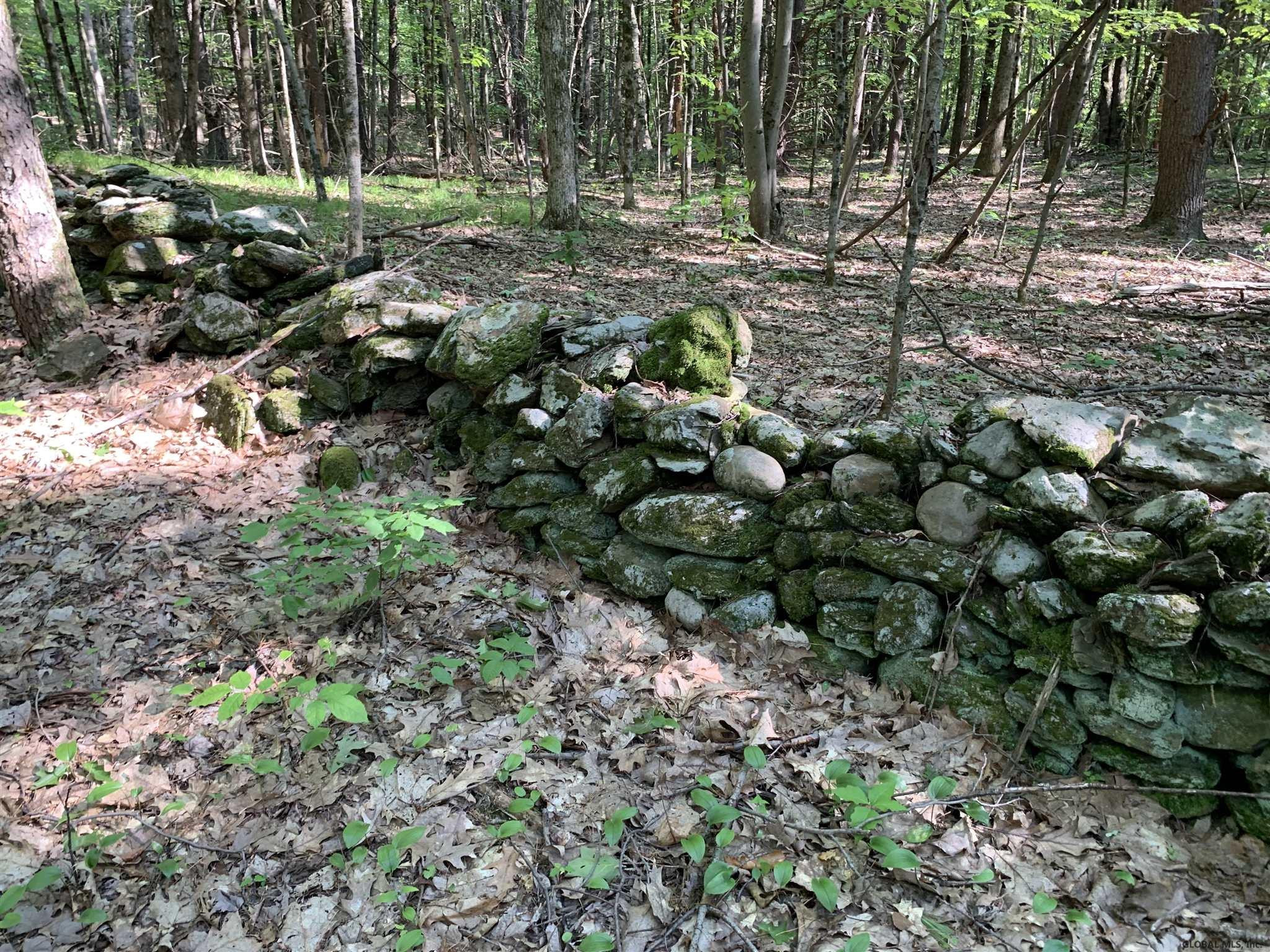 2 Beck Road Eagle Bridge, NY 12057 - Photo 8 of 12 Photo 8