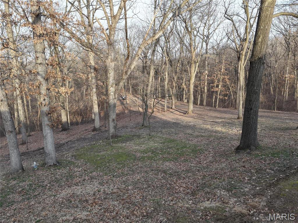 62812 Brown Estates Hannibal, MO 63401 - Photo 4 of 62