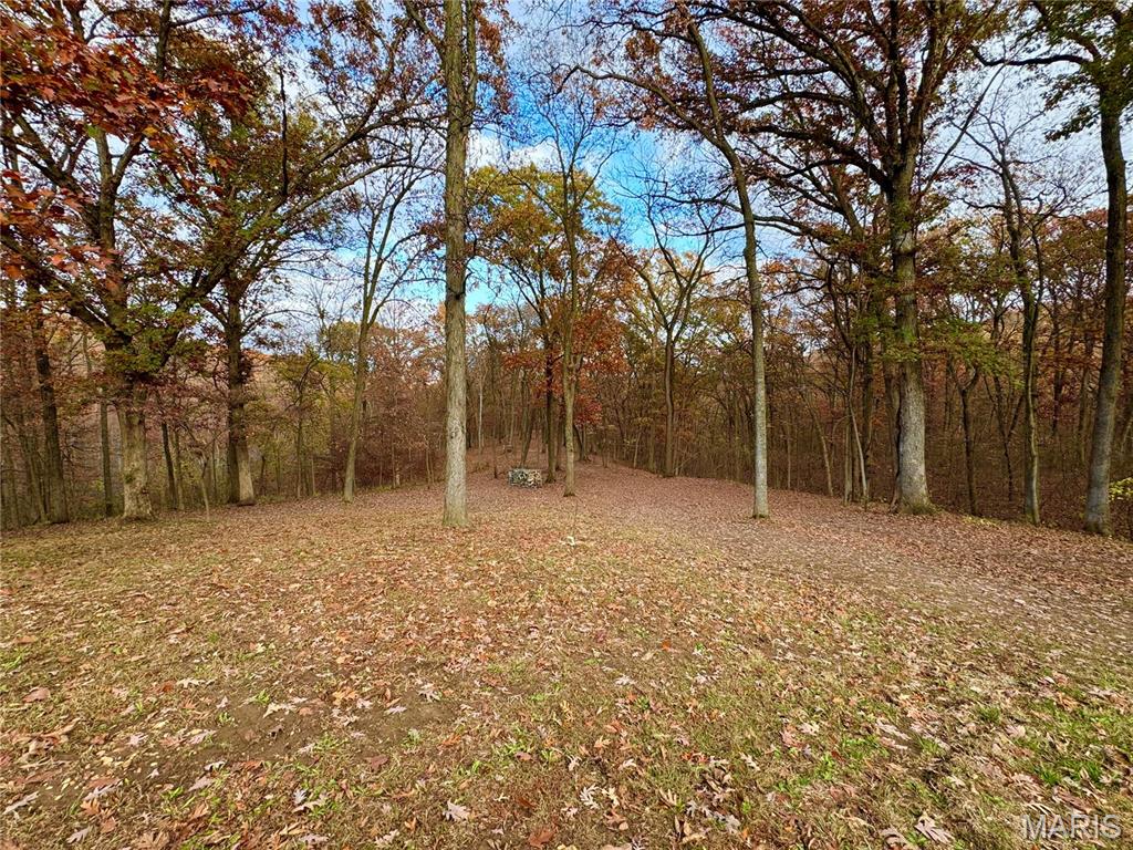 62812 Brown Estates Hannibal, MO 63401 - Photo 54 of 62