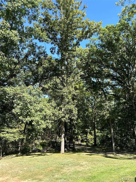 62812 Brown Estates Hannibal, MO 63401 - Photo 62 of 62