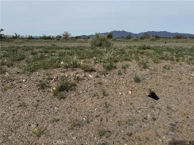 a view of a mountain in the distance in a field