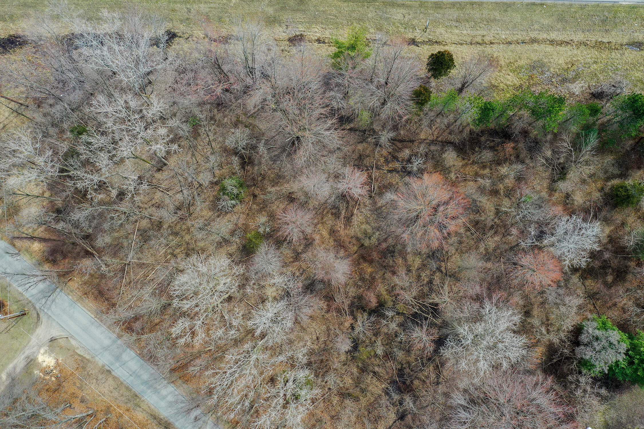 9604-9704 Community Hall Road Union Pier, MI 49129 - Photo 4 of 7 1742323072000