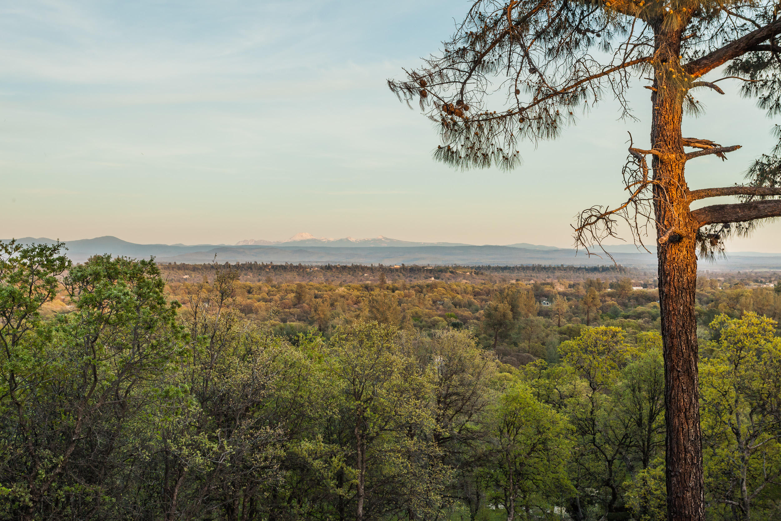 10407 Sundance Road Palo Cedro, CA 96073 - Photo 34 of 35 10407SundanceRoad-MLS-70.jpg