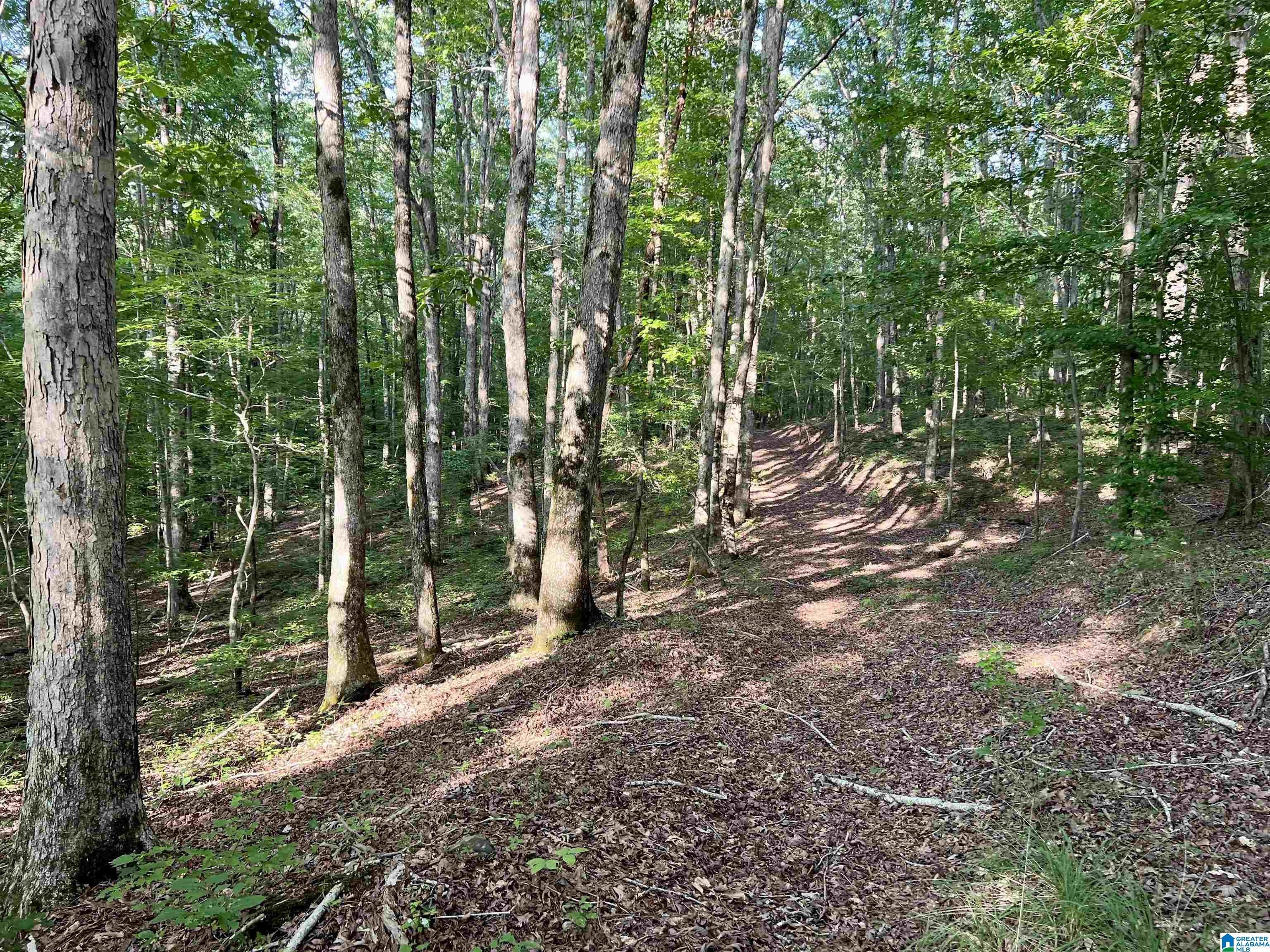 1515 Kelly Ranch Road, Unit 138 ACRES / Talladega, AL 35160 - Photo 21 of 42